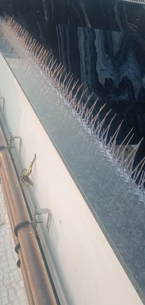 Bird Spikes